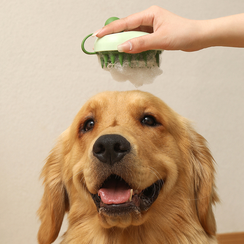 4d0babed-1818-451c-9104-f8a3828ca34a.jpg