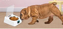 a2fb703d-0ea0-459a-92d0-c524c329124d.png