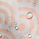 f2be5002-9331-4355-ab8a-ca6956625a1a.jpg