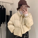 8f2421d0-17c2-4474-82b7-b6d131711aac.jpg