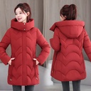 4eb15f4b-c7c4-4f38-bd04-8403b0599c8f.jpg
