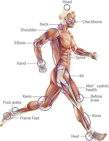 Electromagnetic Physiotherapy Device for Deep Muscle and Fascia Relaxation with Lattice Wave Technology