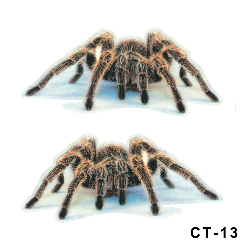 1254429598081.jpg