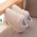 5ae04769-c2cb-4aae-b337-bb20d915a5cf.jpg