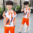 77ff249c-8b03-486a-8a89-039cc74b7ea9.jpg