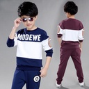 e43d3057-355f-48e6-aa1f-1ce6a11d5fab.jpg