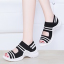 724fc25a-c350-4211-bbda-24a27be6b216.jpg