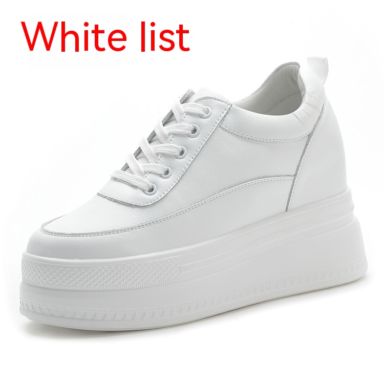 295b4965-3a8f-4302-8a6e-c289a8c33bf0_trans.jpeg