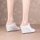 ab6280ed-6763-48fe-9d5b-c9fde14c4887.jpg