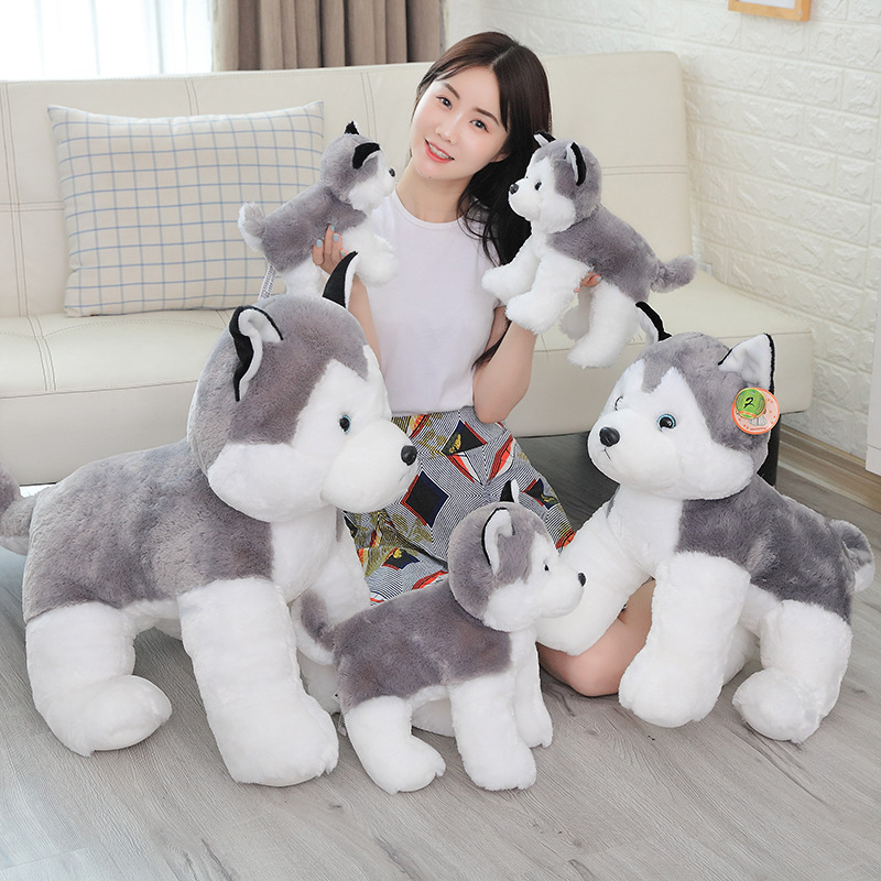 a84a67fb-eb96-43da-bccb-035a55aa94a7.jpg