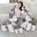 a84a67fb-eb96-43da-bccb-035a55aa94a7.jpg
