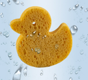 6ce422d4-f13b-43c3-9c11-364f2ca8c253.png
