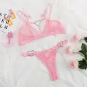 Complex Craft Love Lace Perspective Sexy Underwear Set