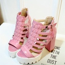 Women's Fashion Thick High Heel Sandals