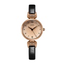Women's classic watch with an elegant strap and quartz movement