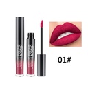 24 Shades | Long-lasting Velvet Matte Liquid Lipstick