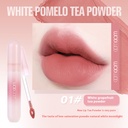 Matte Lip Gloss Non-Transfer Fade Resistant Nourishing Long-Lasting