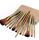 12-Piece Makeup Brush Set with Iron Box – Essential Makeup Tools