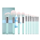 Elegant 12-Piece Light Blue Makeup Brush Set
