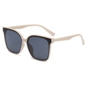 Elegant Women's Sunglasses – Simple and Modern Design for a Stylish Look