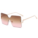 Women's Large Frame Sunglasses – A Stylish Modern Touch for a Chic Casual Look
