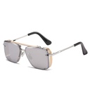 Retro Sunglasses with Metal Mesh Detailing