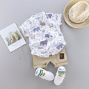 Children's set consisting of a stylish shirt and shorts