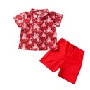 Stylish kids' outfit – shirt with an eye-catching print paired with matching shorts for a comfortable and trendy look