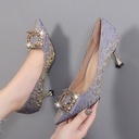 Women’s pointed stiletto heels adorned with rhinestones for a modern, luxurious touch