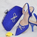 An elegant women’s set – high‑heeled shoes and a coordinating handbag