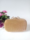 Women's evening bag adorned with rhinestones and an elegant chain