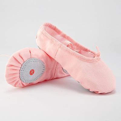 Ballet Practice Shoes with Soft Sole – Cat Claw Design