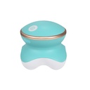Mini Electric Massager – Multi-Function