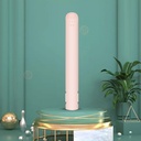 USB Interface Mini Hair Curler & Straightener – Dual-Use Styling Tool