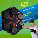 Smart Bluetooth Music Boxing Target