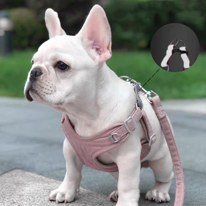 Lightweight dog leash with reflective strip