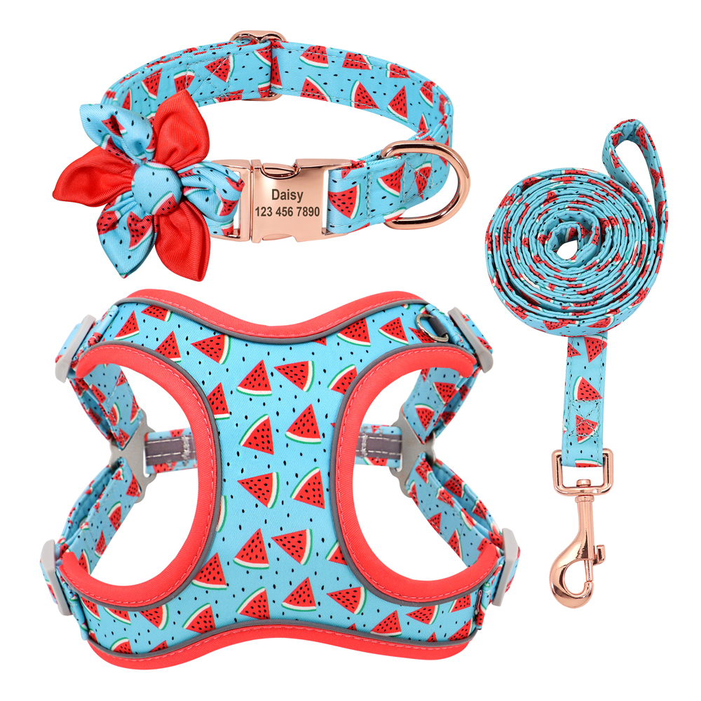 Small Dog Leash and Collar Set for Teddy and Corgi Dogs