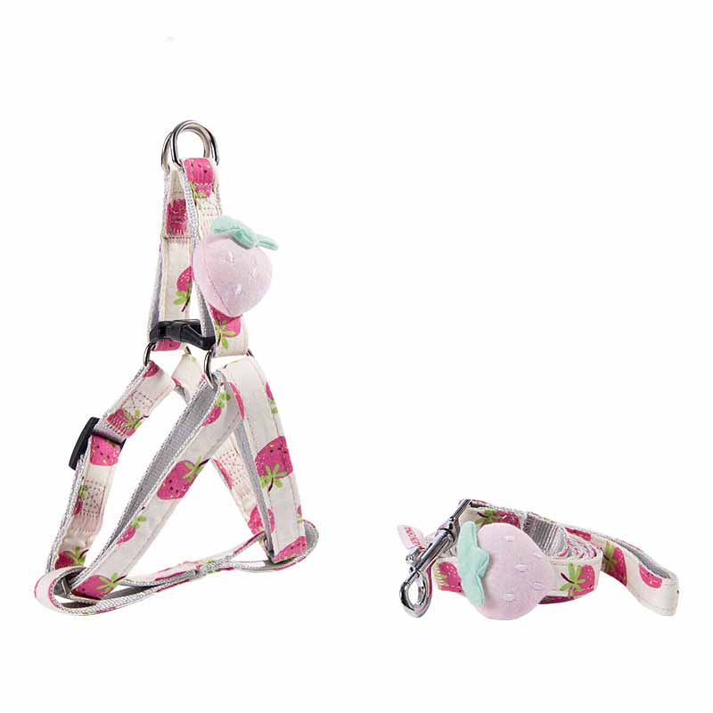 A dog collar and leash set with colorful fruit-themed prints in a modern design