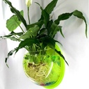 حوض أسماك أكريليك يثبت على الجدار