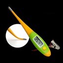 Electronic Thermometer for Pets