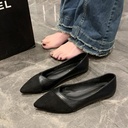 Women's Low-cut Fashion Pointed Stitching Flat Shoes