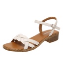 Soft Leather Retro Roman Flat Open Toe Low Heel Woven Buckle Beach Sandals