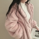 South Korea French Minority Zipper Hooded Warm Casual Sports Plush Coat