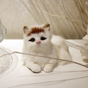 A Static Toy Model Of Small Lying Cat