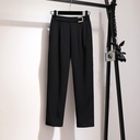 Temperament Goddess Fan Shirt Two-piece Suit