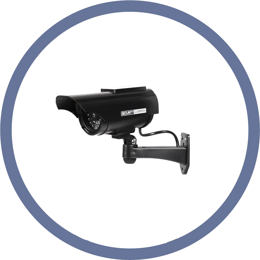 Surveillance Cameras
