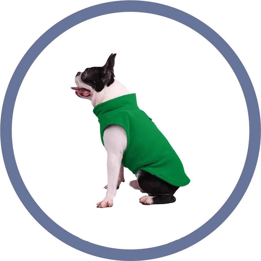 Pets Clothings