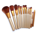 12-Piece Makeup Brush Set with Iron Box – Essential Makeup Tools