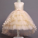 Girls' dress with a unique design, adorned with lace and layered pettiskirt, offering a soft feminine touch and a modern, elegant look