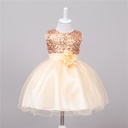 Baby sequin dress with an elegant princess design, perfect for flower girls at weddings and special occasions  